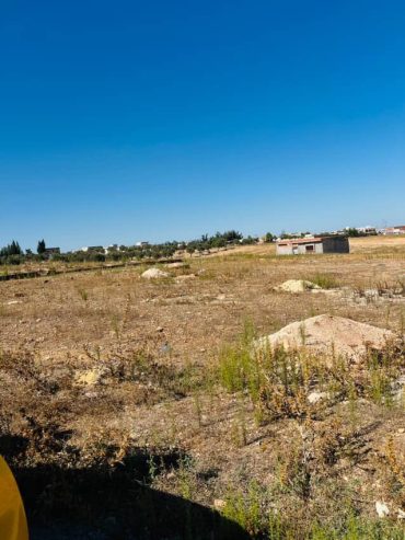 terrain-200m2-a-vendre-birine