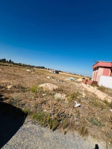 terrain-birine-route-principale