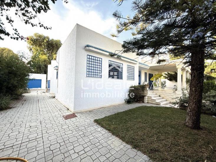 1761130168sanstitre103