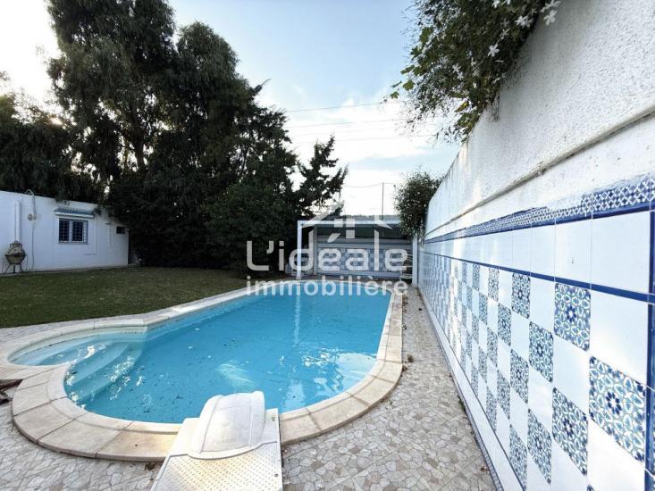 1761130168sanstitre104