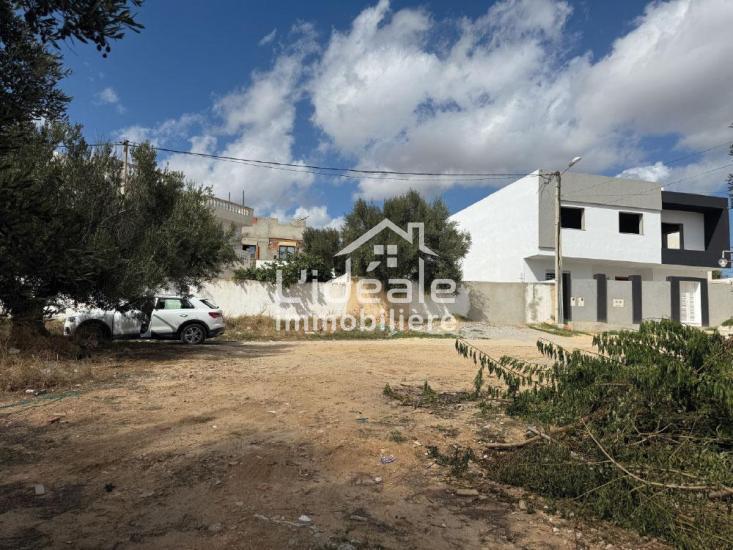 1761815129sanstitre203