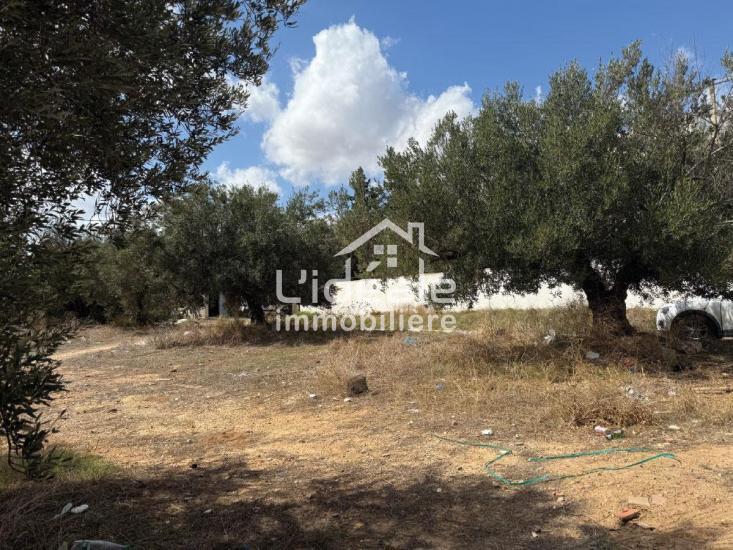 1761815129sanstitre204