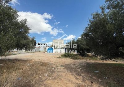 armoire | Proxity.tn