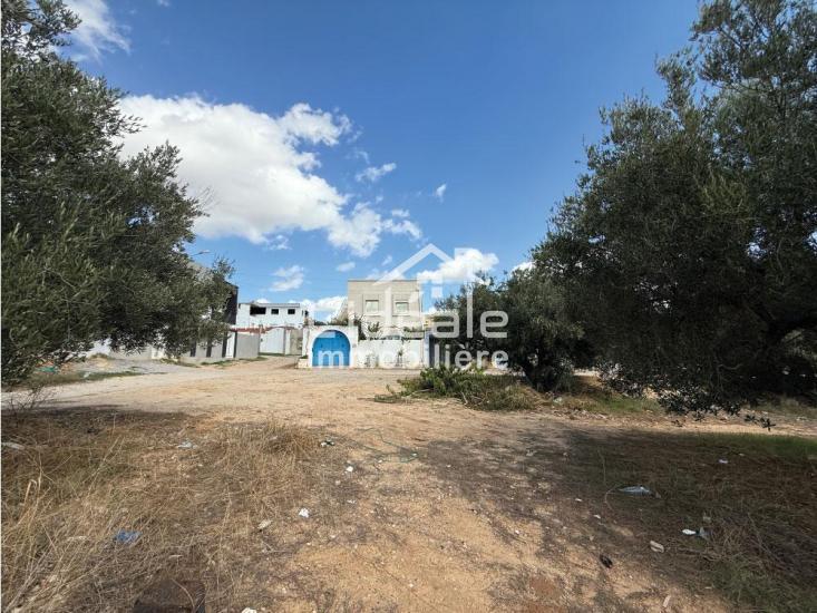 1761815130sanstitre209