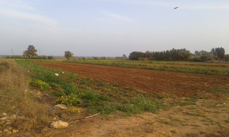 Messenger_creation_803842029745804