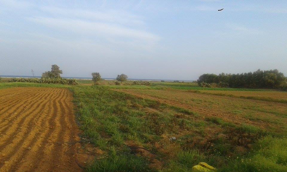 Messenger_creation_803842059745801