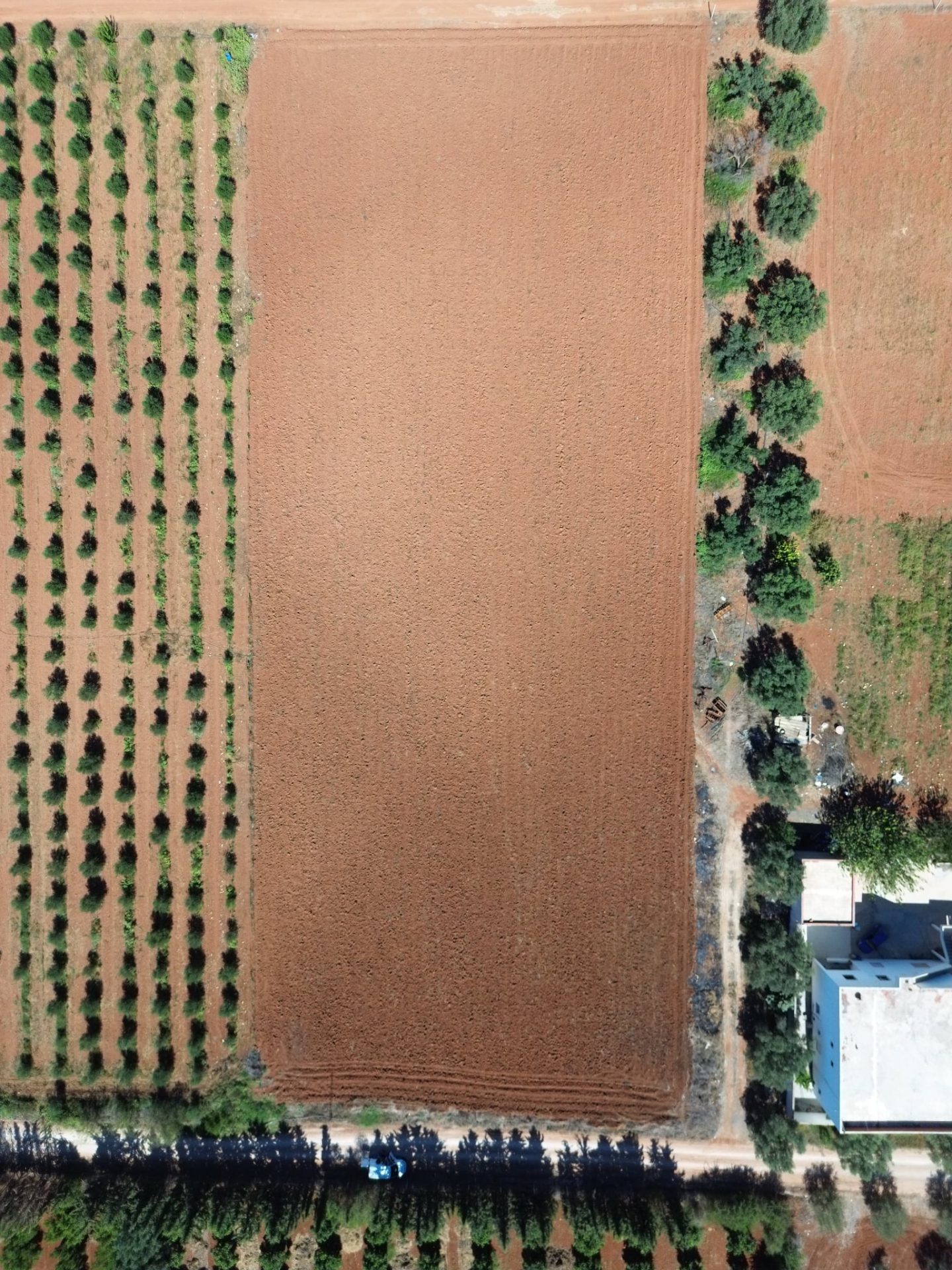 Messenger_creation_CA9C9F9F-0017-4379-90E7-CCF64A186414-1