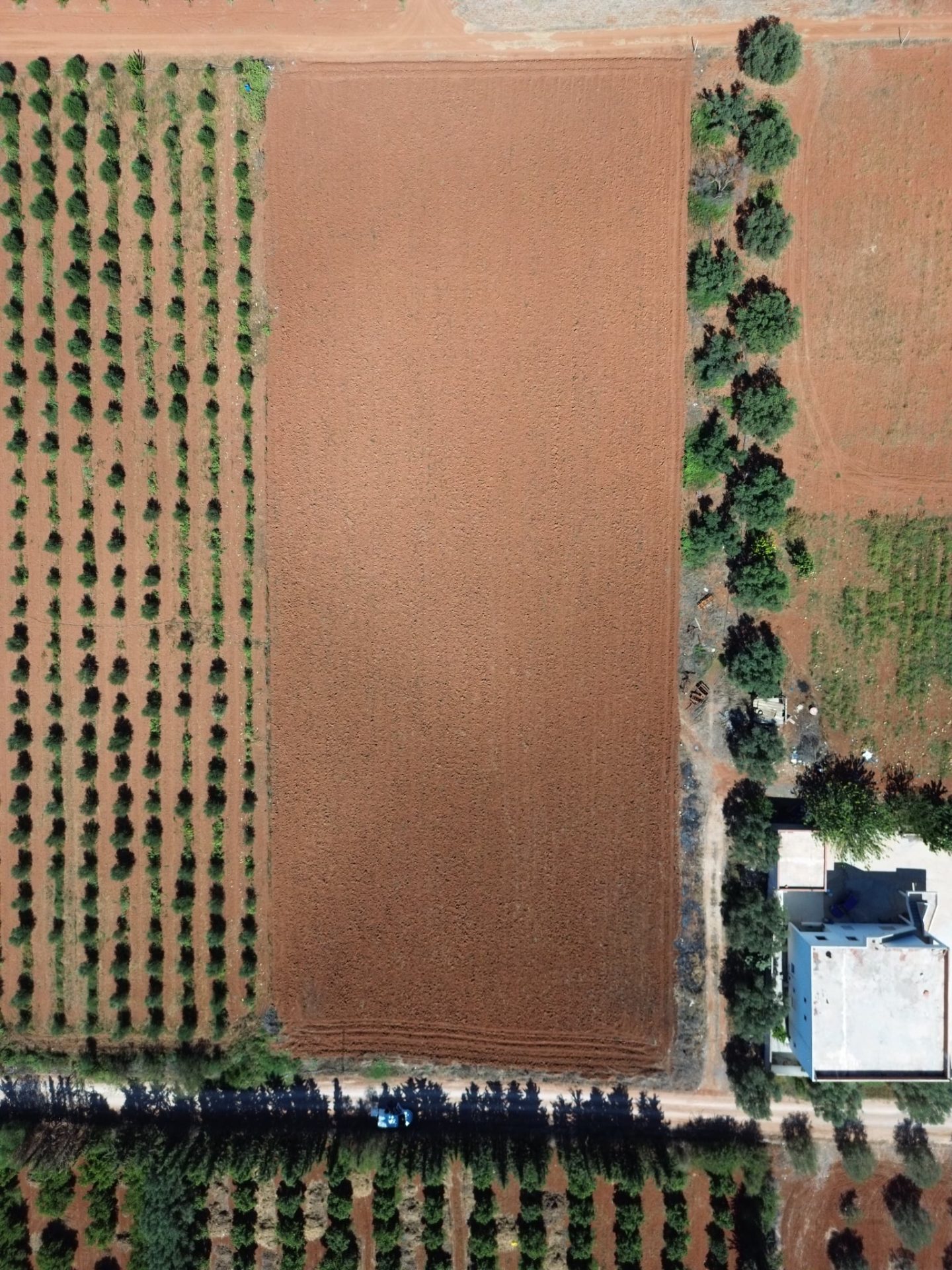 Messenger_creation_ECE9E846-6D37-443F-8C71-18EC5E70A803-1