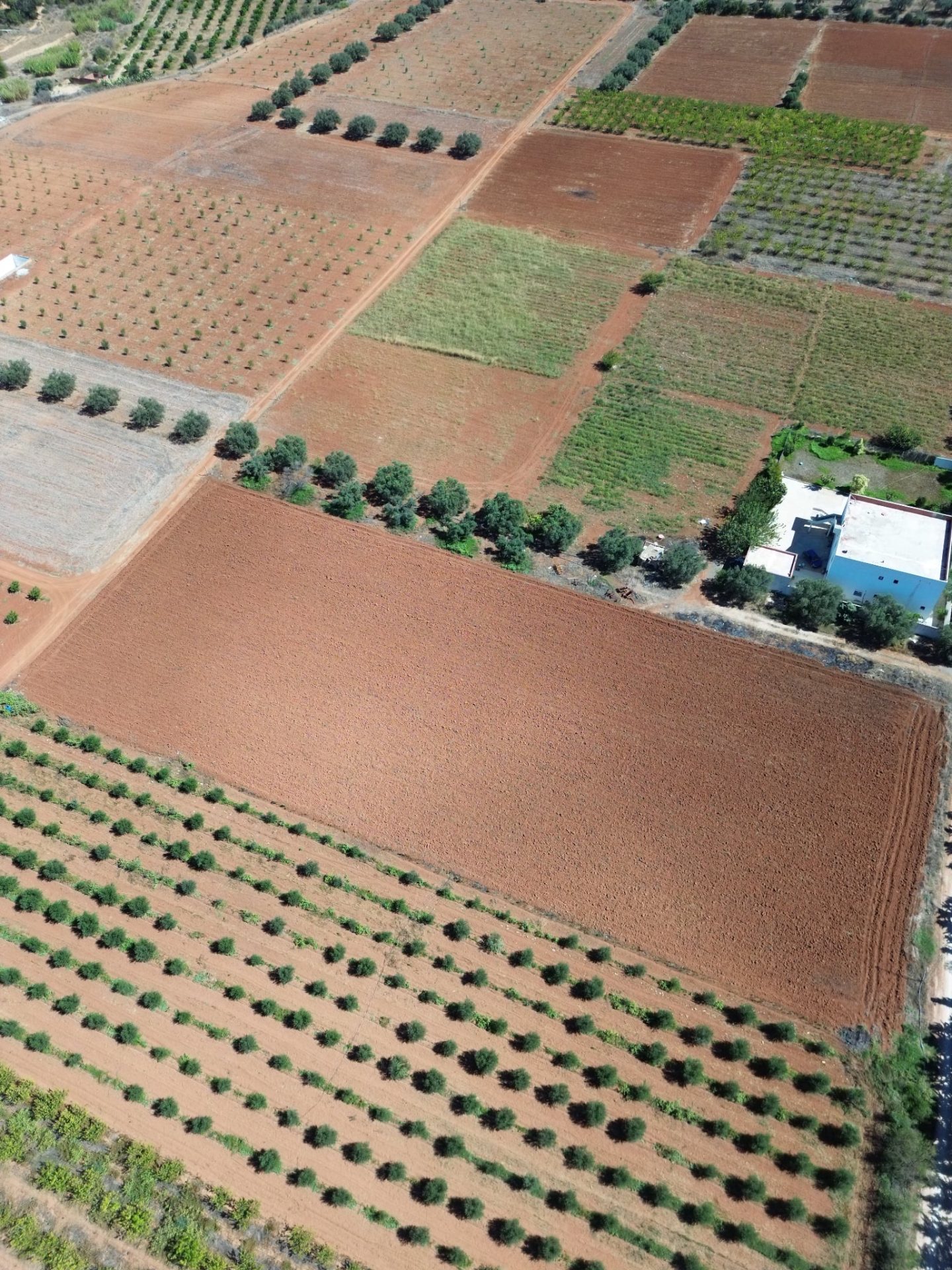 Messenger_creation_F1BF9F46-F7BA-4CF9-AC95-5BA8470BA697-1