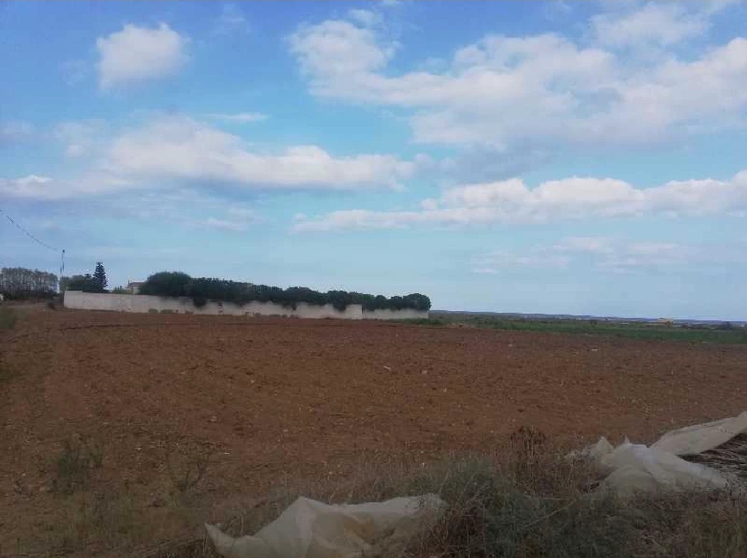 Screenshot_20240728_234900_Tayara