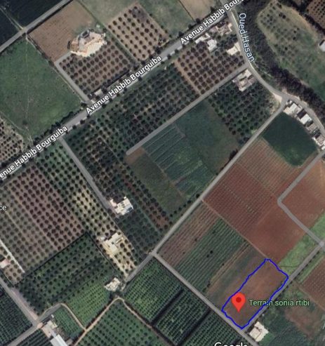 capture_maps-1
