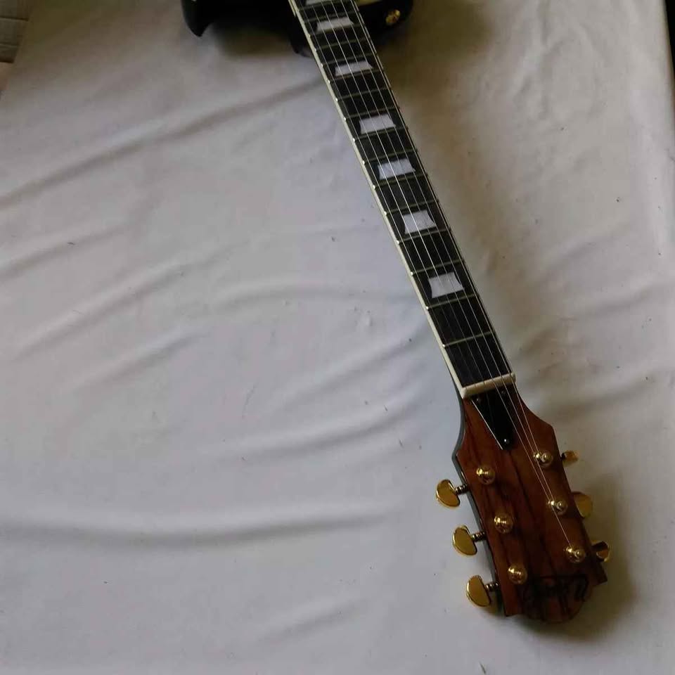 chapel-les-paul-potentiometres-selecteur