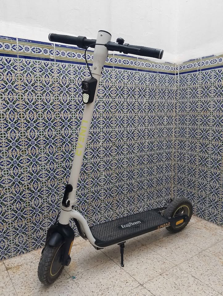 ecoxtrem-linear-trottinette-ras-jebel