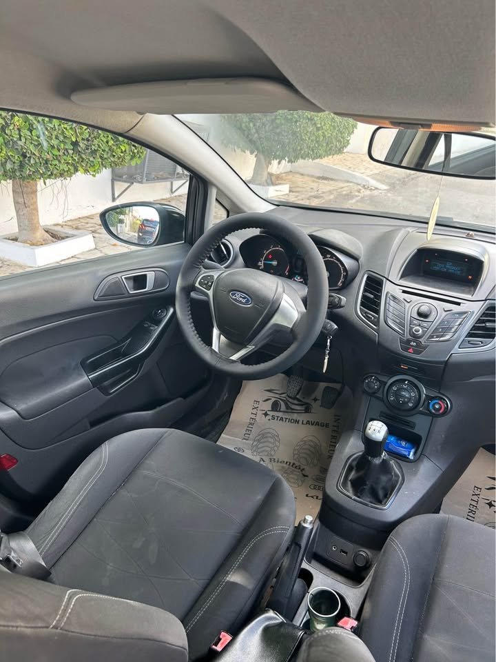 ford-fiesta-2013-176000km