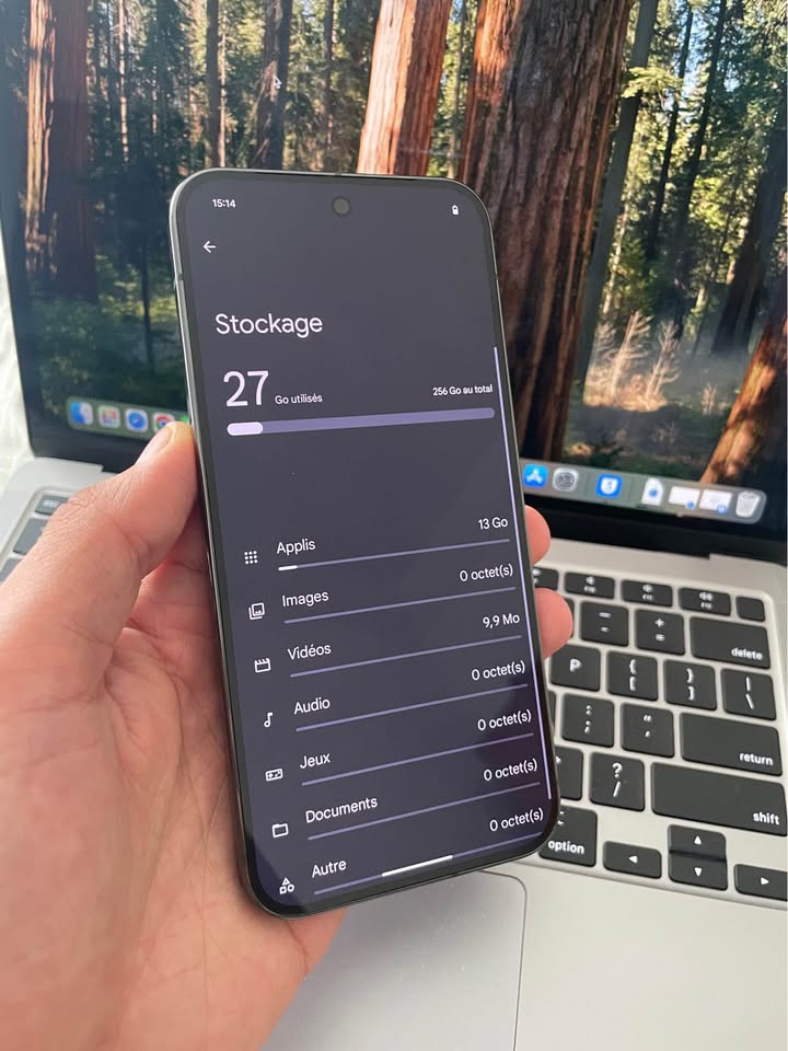 google-pixel-9-pro-xl-neuf-prix-2300dt