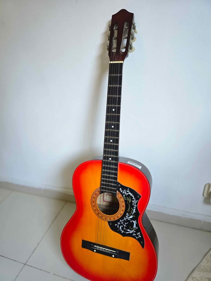 guitare-acoustique-pearl-river-bon-etat-tunisie