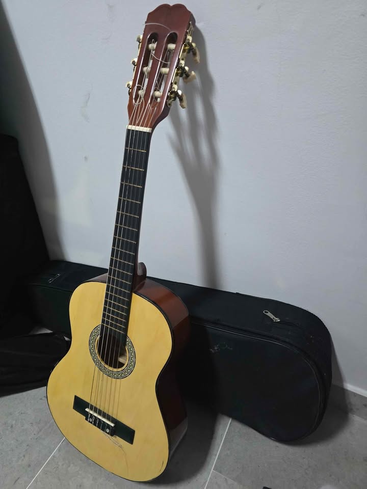 guitare-classique-meg-tunisie