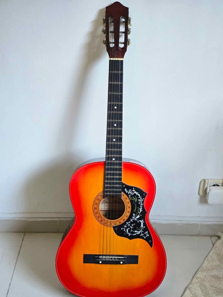 pearl-river-guitare-musique-occasion-el-menzah