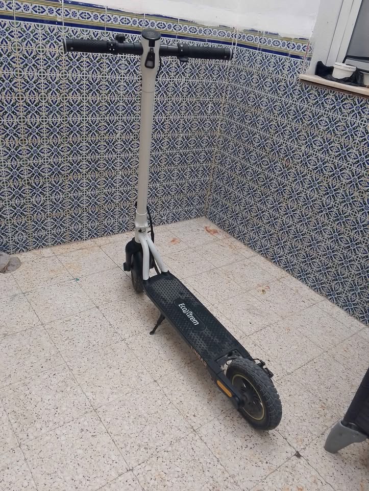 scooter-electrique-ecoxtrem-linear-bon-etat
