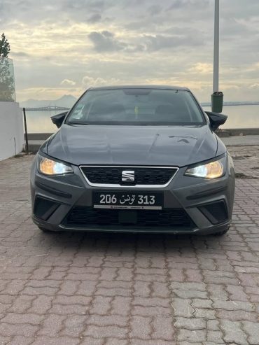seat-ibiza-exterieur-gris