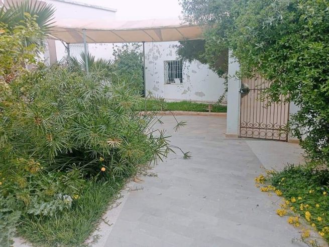 studio-s1-jardins-el-menzah