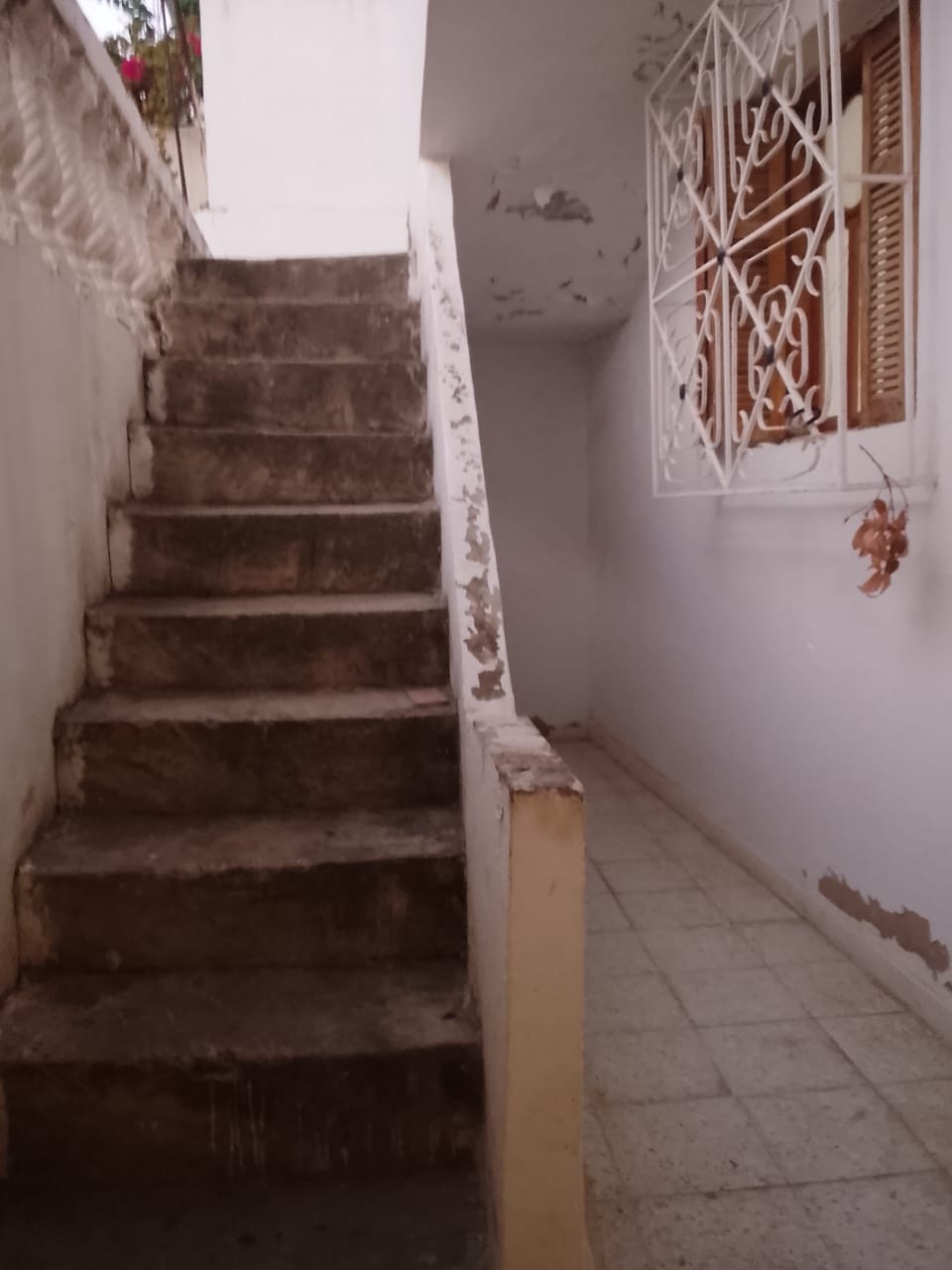 ‎25-10-8-Photos-villa-Warda-2