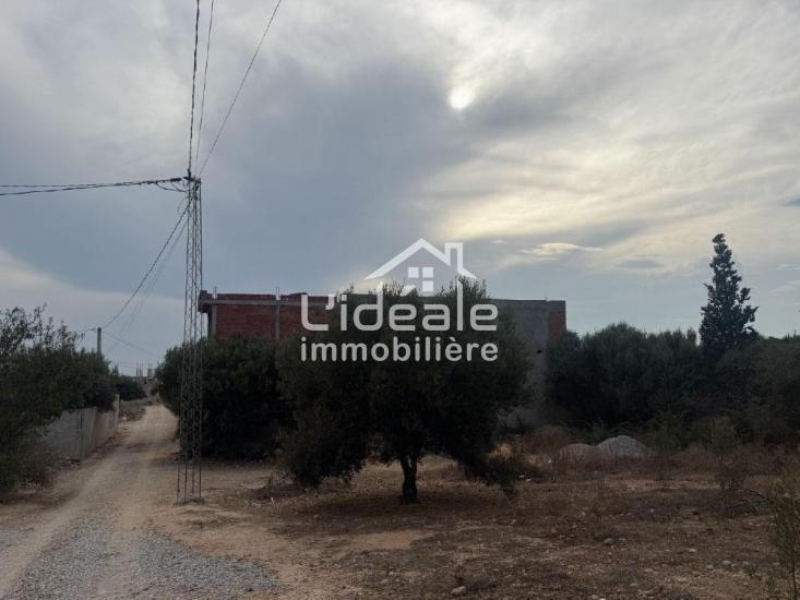 1764066076sanstitre101