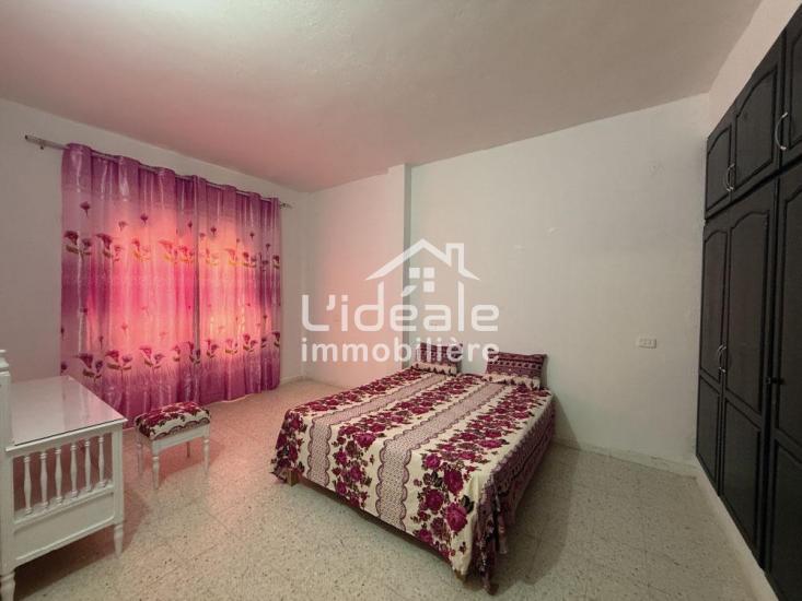 1764231678sanstitre106