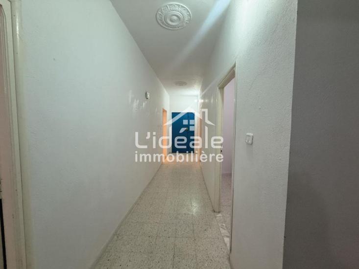 1764231698sanstitre113