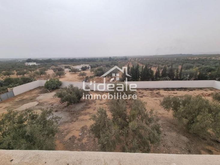 1764246872sanstitre101