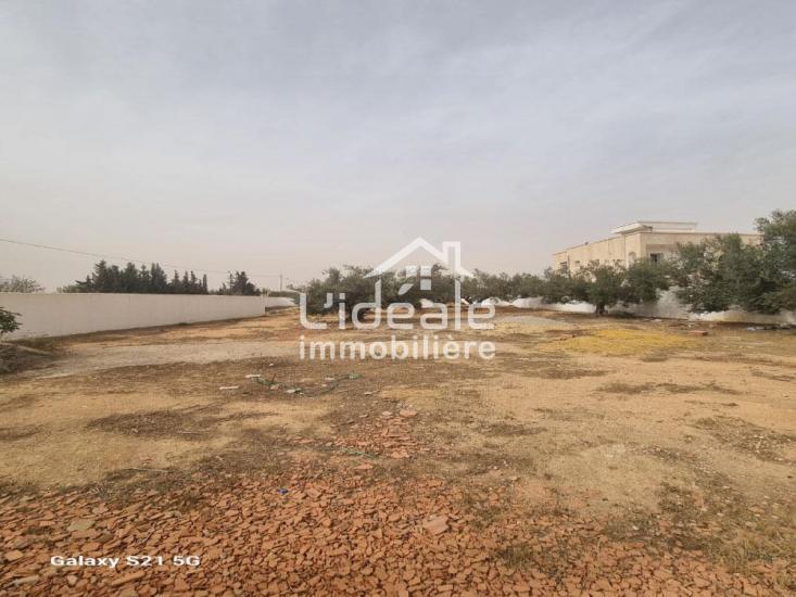 1764246873sanstitre103