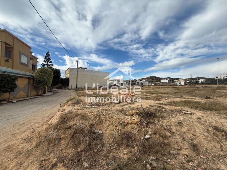 1764321845sanstitre101