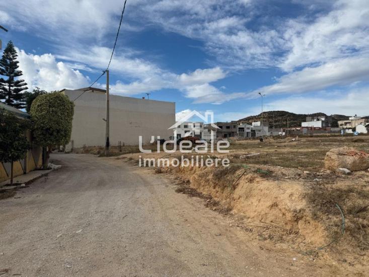 1764321845sanstitre102