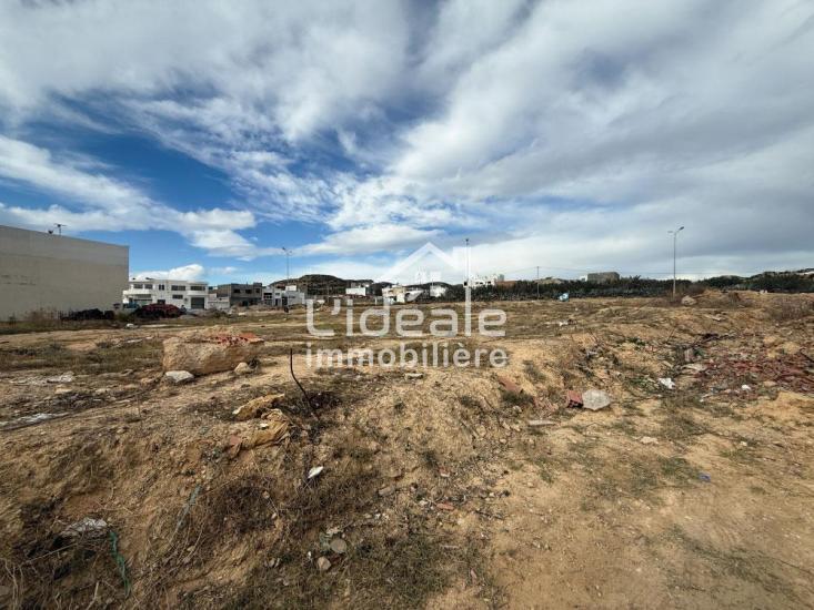 1764321846sanstitre103