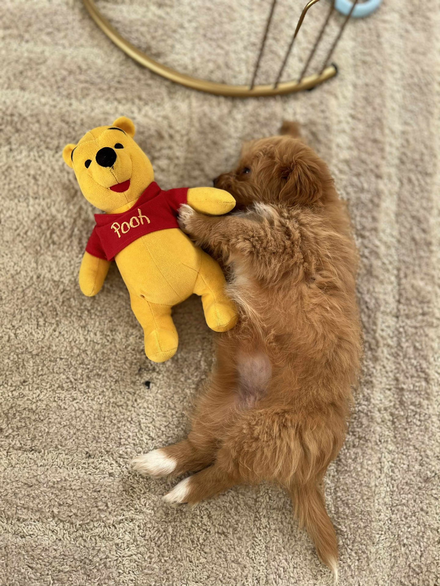 182b6d77-b35c-4ade-ab9d-9d1ed4b0768a