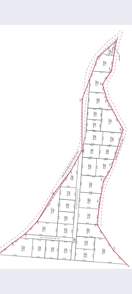 546925735_1263625678896033_2029745207713135751_n