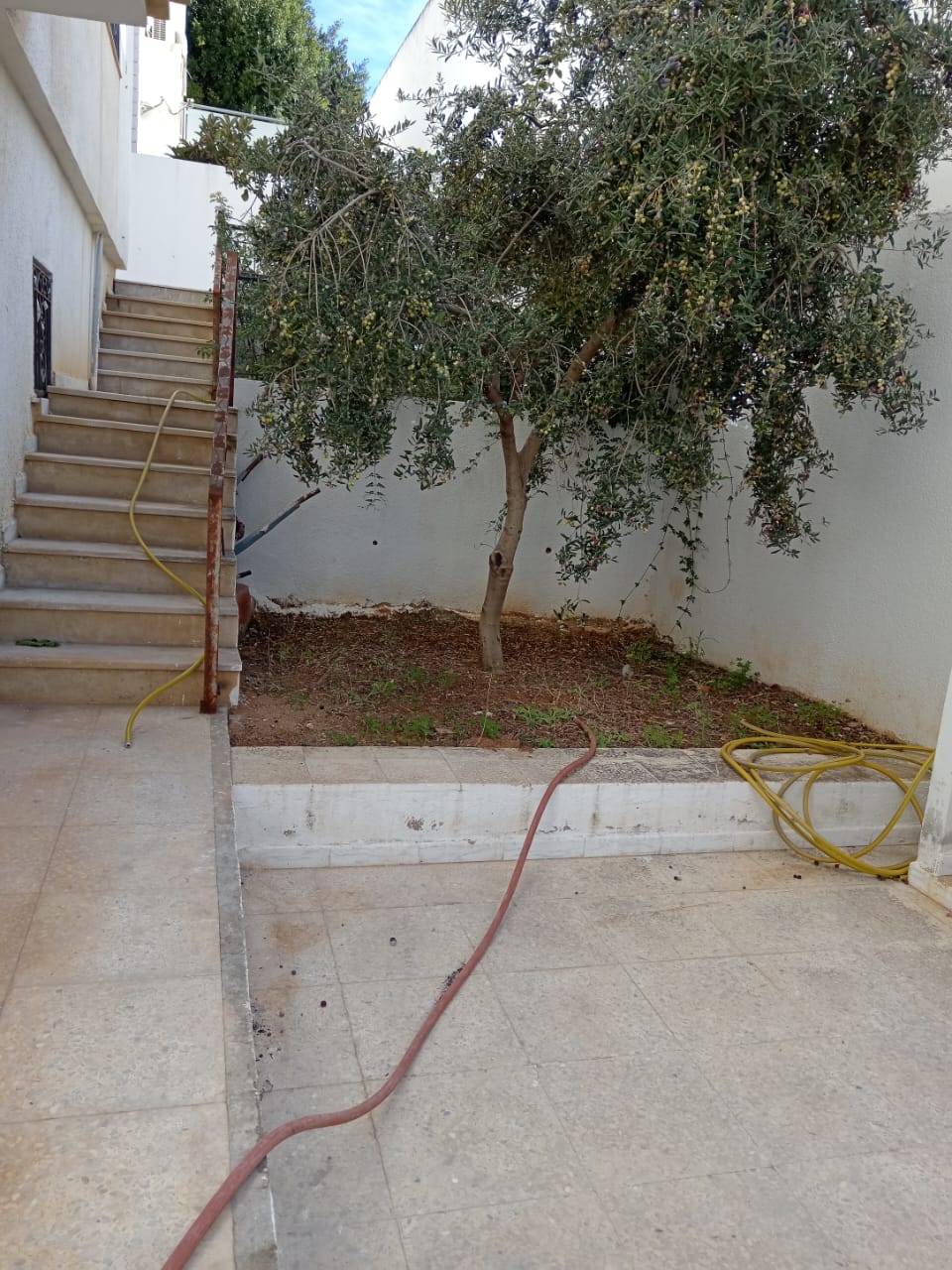 6d2b65e9-5fd6-4e76-bb75-c9d63e9557de-1_all_3860