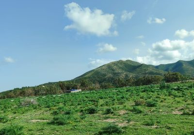 armoire | Proxity.tn