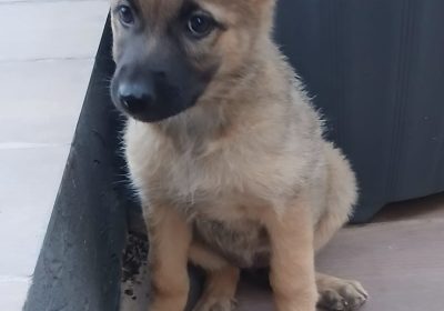 meuble de rangement | Proxity.tn