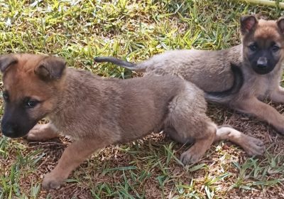 armoire | Proxity.tn