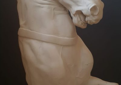 meuble de rangement | Proxity.tn