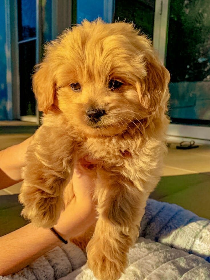 WhatsApp-Image-2025-11-12-at-2.38.10-PM