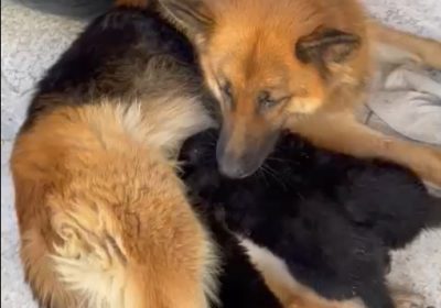 télévision | Proxity.tn