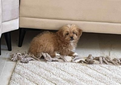 placard | Proxity.tn