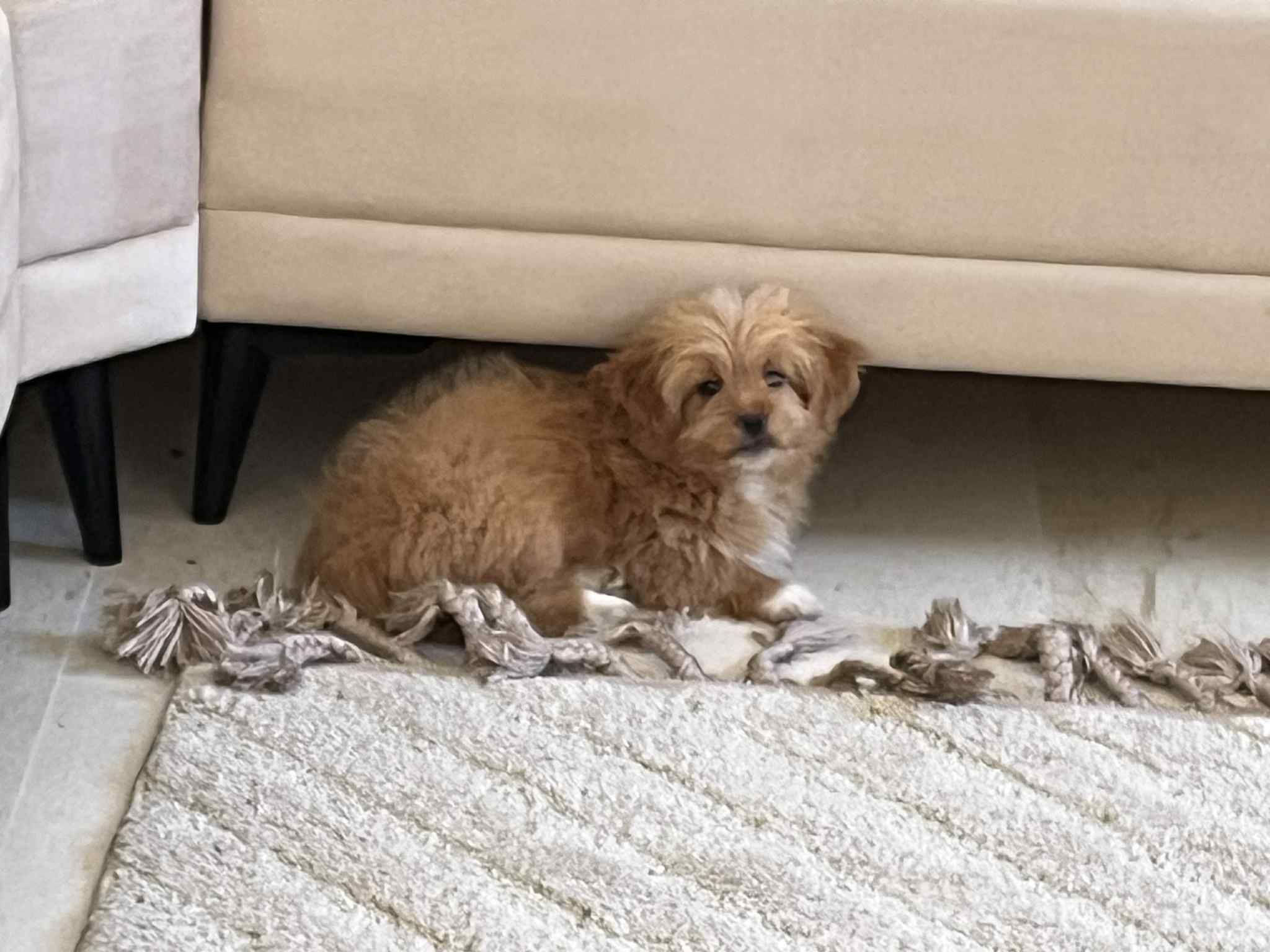 c6655866-8094-4073-af3b-ff32f1c48a15