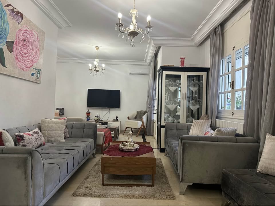 canape-gris-3-places-capitonne-ezzahra-tunisie