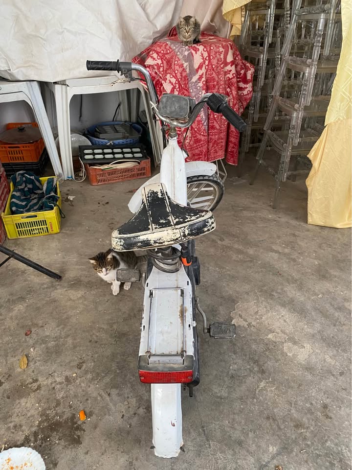 ciao-piaggio-legere-economique-ariana