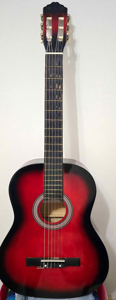 guitare-meg-vue-dos-et-eclisses