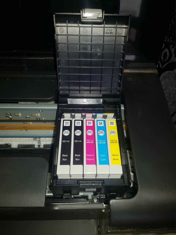 jeu-cartouches-encre-imprimante-epson-d120