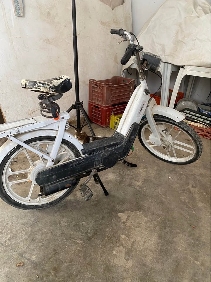 mobylette-piaggio-ciao-occasion-tunisie
